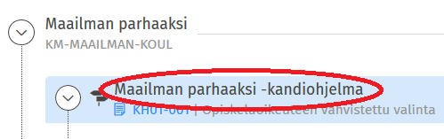 Kuvakaappaus Sisusta: koulutusohjelman otsikko opintosuunnitelmassa