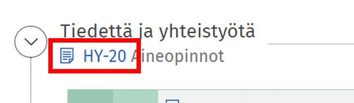 Kuvakaappaus opintosuunnitelmassa näkyvästä kokonaisuudesta.