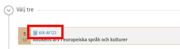 Skärmdump: kursinformationsbroschyren