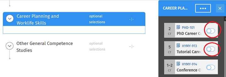Screenshot: optional selections