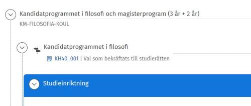 Skärmdump av studieplan i Sisu.