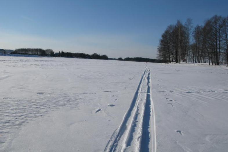 Luminen maisema, jossa kulkee latu.