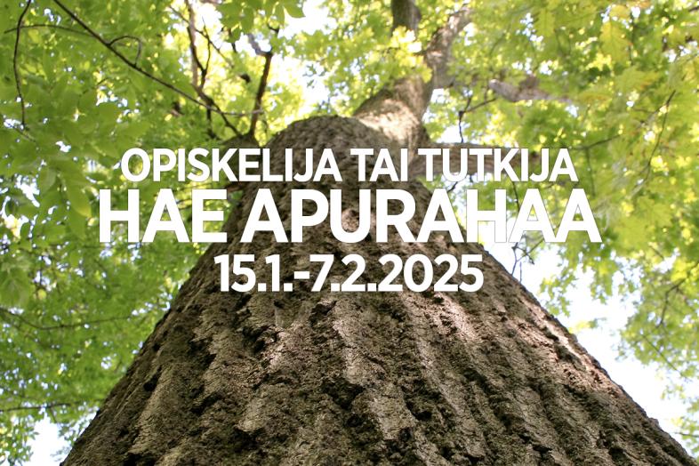 Taustalla puunrunko, etualalla teksti "Opiskelija tai tutkija, hae apurahaa 15.1.-7.2.2025".