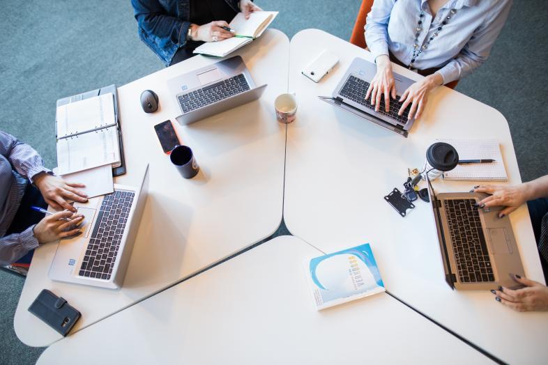 Kuva: Joel Grandell (Helsingin yliopisto).