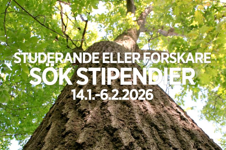 I bakgrunden en trädstam, i förgrunden texten ”Studerande eller forskare, sök stipendier 14.1–6.2.2026”.